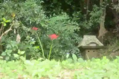 座間神社(神奈川県)