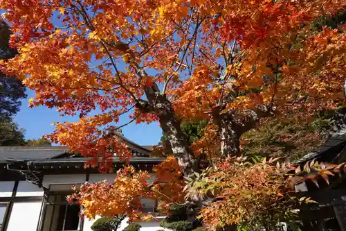 鹿島大神宮の自然