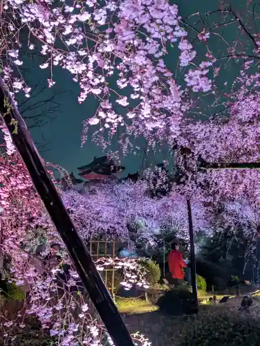 平安神宮の{uncategorized: "未分類", other: "その他", undefined: "問題あり", building: "その他建物", grave: "お墓", sacred_gate: "鳥居", guardian: "狛犬", statue: "像", buddha: "仏像", history: "歴史", nature: "自然", garden: "庭園", animal: "動物", pagoda: "塔", temizu: "手水舎", mountain_gate: "山門・神門", sanctuary: "本殿・本堂", subordinate: "末社・摂社", art: "芸術", scenery: "景色", jizo: "地蔵", ema: "絵馬", goshuin: "御朱印", omikuji: "おみくじ", items: "授与品その他", amulet: "お守り", goshuincho: "御朱印帳", eats: "食事", festival: "お祭り", votive_dance: "神楽", shichigosan: "七五三参", wedding: "結婚式", experience: "体験その他", initially: "初詣", around: "周辺", anti_infection: "感染症対策"}
