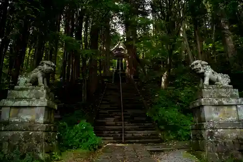 戸隠神社宝光社の狛犬