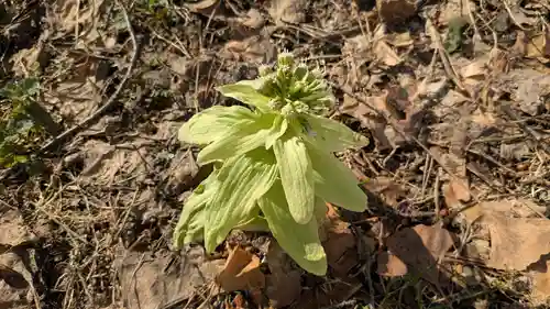神居神社遥拝所(北海道)