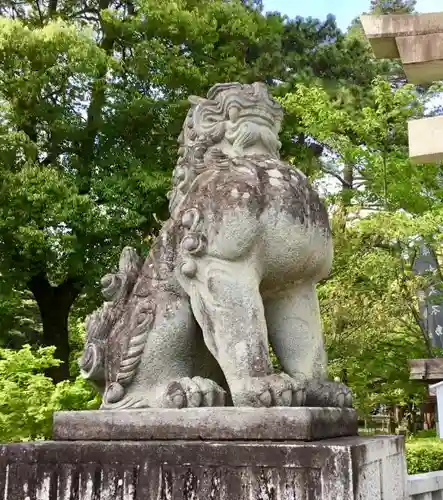 武田神社の狛犬