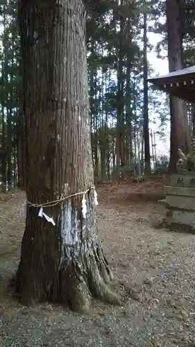 稲荷神社のその他建物