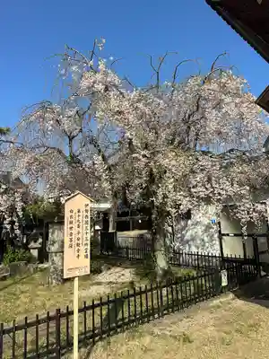 観音寺(三重県)