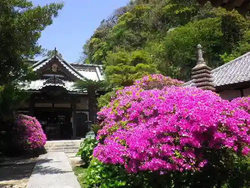 安養院　(田代寺）の庭園