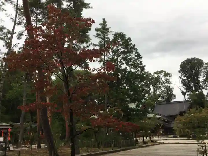 今宮神社の自然