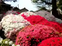 根津神社の庭園