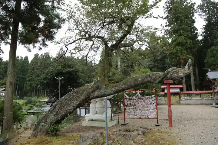 櫻田山神社の自然
