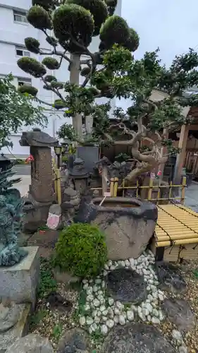 淨光寺（浄光寺）(兵庫県)