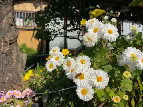 横浜御嶽神社の庭園