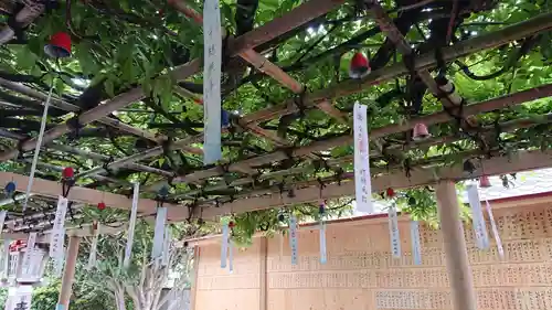 金蛇水神社のお祭り