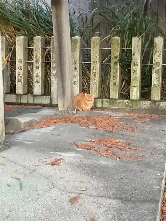 天神社・覚明堂(牛山町)の動物