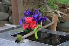 高司神社〜むすびの神の鎮まる社〜の手水