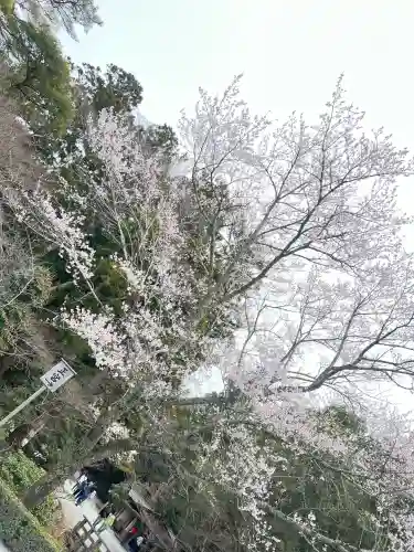 伊勢神宮内宮（皇大神宮）の{uncategorized: "未分類", other: "その他", undefined: "問題あり", building: "その他建物", grave: "お墓", sacred_gate: "鳥居", guardian: "狛犬", statue: "像", buddha: "仏像", history: "歴史", nature: "自然", garden: "庭園", animal: "動物", pagoda: "塔", temizu: "手水舎", mountain_gate: "山門・神門", sanctuary: "本殿・本堂", subordinate: "末社・摂社", art: "芸術", scenery: "景色", jizo: "地蔵", ema: "絵馬", goshuin: "御朱印", omikuji: "おみくじ", items: "授与品その他", amulet: "お守り", goshuincho: "御朱印帳", eats: "食事", festival: "お祭り", votive_dance: "神楽", shichigosan: "七五三参", wedding: "結婚式", experience: "体験その他", initially: "初詣", around: "周辺", anti_infection: "感染症対策"}