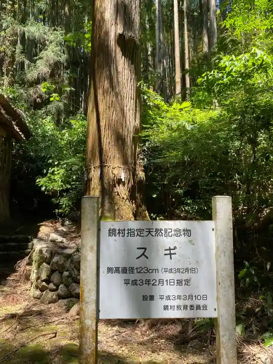 杉本神社の{uncategorized: "未分類", other: "その他", undefined: "問題あり", building: "その他建物", grave: "お墓", sacred_gate: "鳥居", guardian: "狛犬", statue: "像", buddha: "仏像", history: "歴史", nature: "自然", garden: "庭園", animal: "動物", pagoda: "塔", temizu: "手水舎", mountain_gate: "山門・神門", sanctuary: "本殿・本堂", subordinate: "末社・摂社", art: "芸術", scenery: "景色", jizo: "地蔵", ema: "絵馬", goshuin: "御朱印", omikuji: "おみくじ", items: "授与品その他", amulet: "お守り", goshuincho: "御朱印帳", eats: "食事", festival: "お祭り", votive_dance: "神楽", shichigosan: "七五三参", wedding: "結婚式", experience: "体験その他", initially: "初詣", around: "周辺", anti_infection: "感染症対策"}