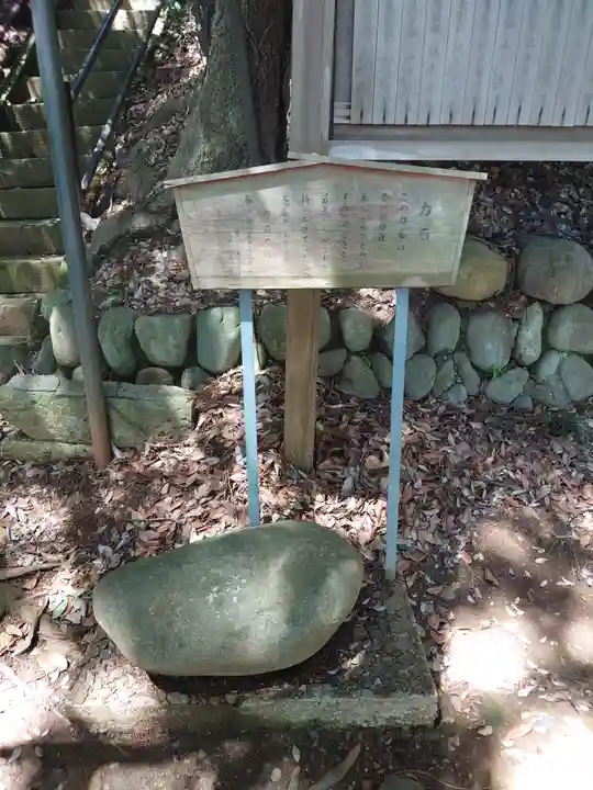 白鬚神社(埼玉県)