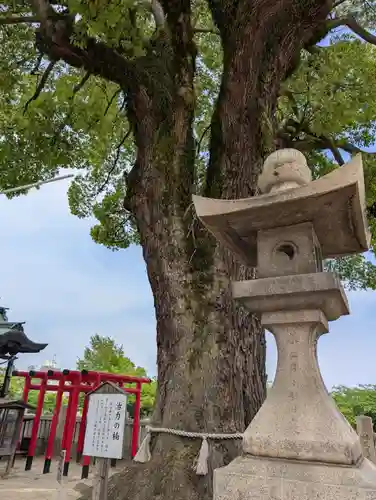 西大寺(岡山県)