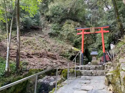 松尾大社の鳥居