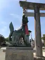 豊川閣 妙厳寺の狛犬