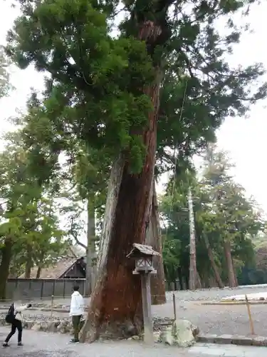 伊勢神宮外宮（豊受大神宮）(三重県)
