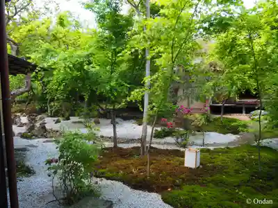 興聖寺(京都府)