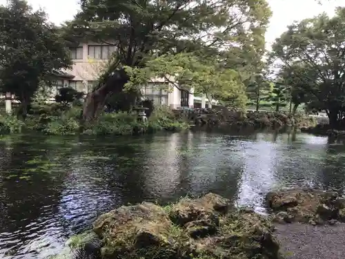富士山本宮浅間大社(静岡県)