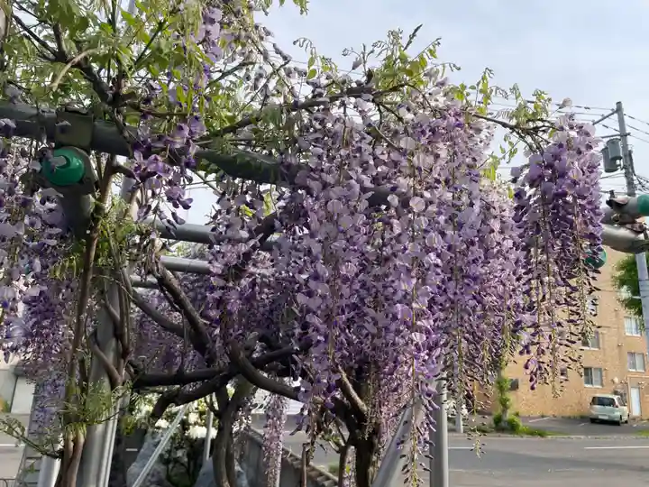天童寺(北海道)