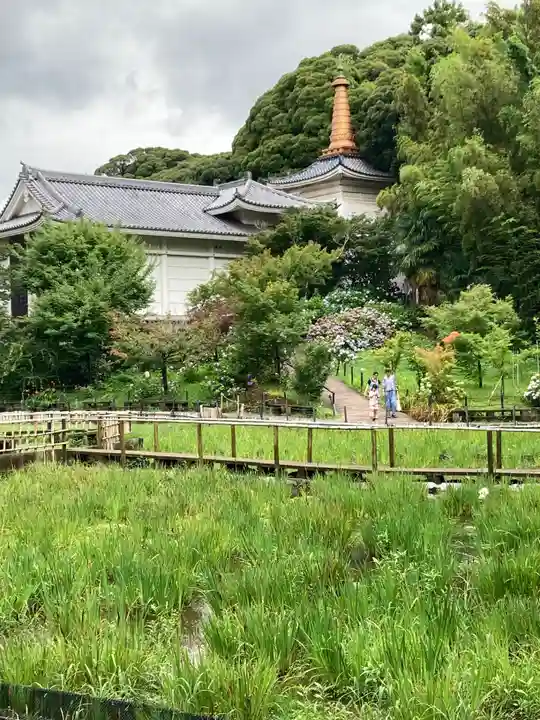 本土寺(千葉県)