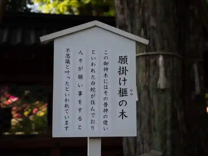 根津神社の{uncategorized: "未分類", other: "その他", undefined: "問題あり", building: "その他建物", grave: "お墓", sacred_gate: "鳥居", guardian: "狛犬", statue: "像", buddha: "仏像", history: "歴史", nature: "自然", garden: "庭園", animal: "動物", pagoda: "塔", temizu: "手水舎", mountain_gate: "山門・神門", sanctuary: "本殿・本堂", subordinate: "末社・摂社", art: "芸術", scenery: "景色", jizo: "地蔵", ema: "絵馬", goshuin: "御朱印", omikuji: "おみくじ", items: "授与品その他", amulet: "お守り", goshuincho: "御朱印帳", eats: "食事", festival: "お祭り", votive_dance: "神楽", shichigosan: "七五三参", wedding: "結婚式", experience: "体験その他", initially: "初詣", around: "周辺", anti_infection: "感染症対策"}