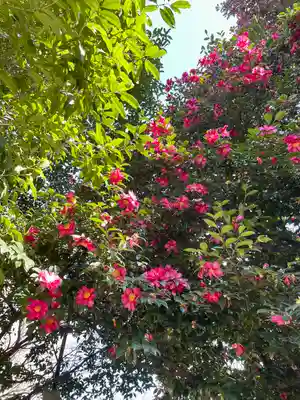 高円寺(東京都)