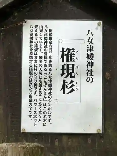 八女津媛神社(福岡県)