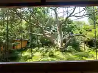 宝泉院の庭園