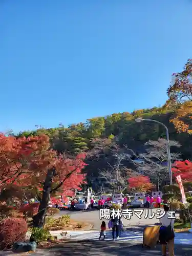 陽林寺(福島県)