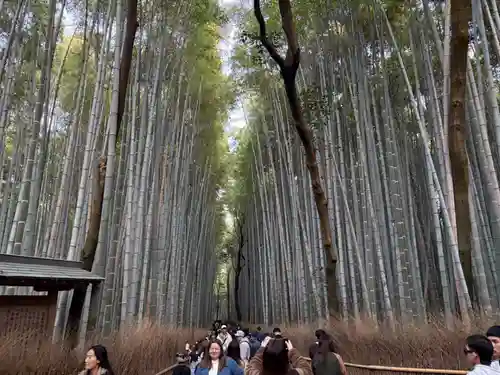 野宮神社(京都府)
