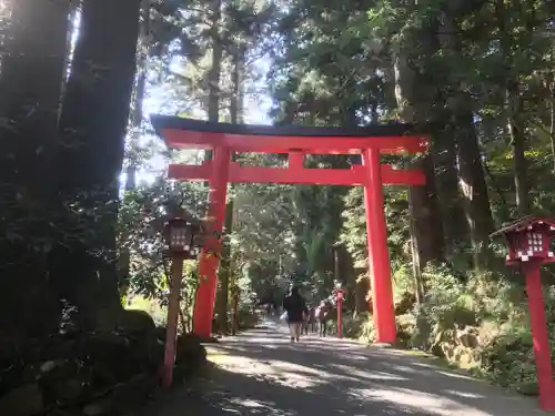 箱根神社の鳥居