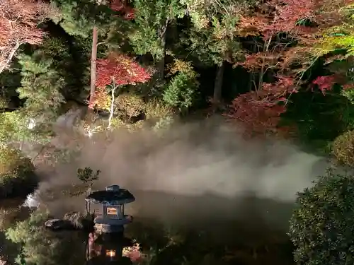 宝登山神社(埼玉県)