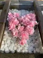 根岸八幡神社の手水舎