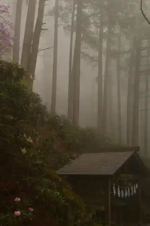三峯神社(埼玉県)