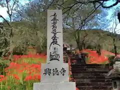 興徳寺(静岡県)