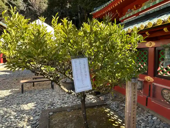 久能山東照宮(静岡県)