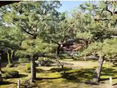 大覚寺(京都府)