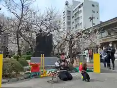 湯島天満宮のお祭り