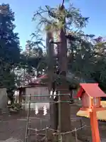 長沼八幡宮の本殿・本堂