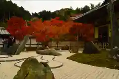 圓光寺の庭園