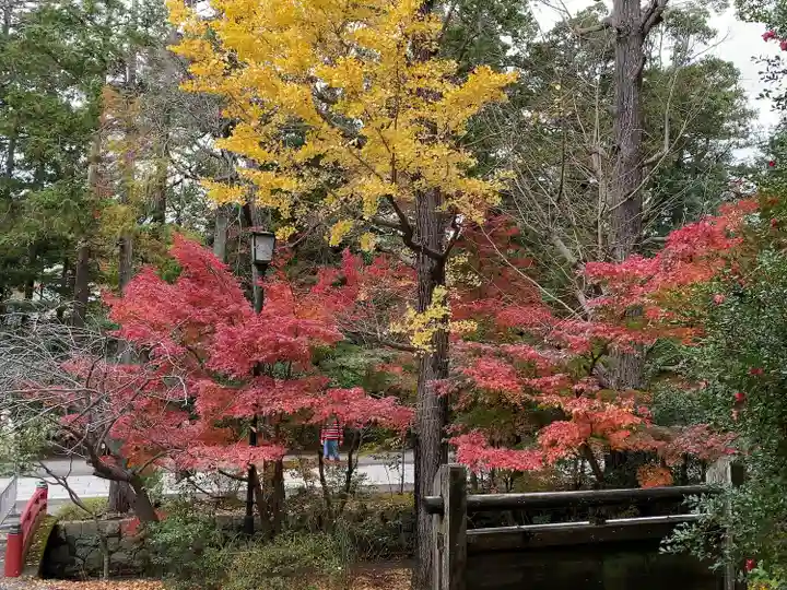 鶴岡八幡宮(神奈川県)
