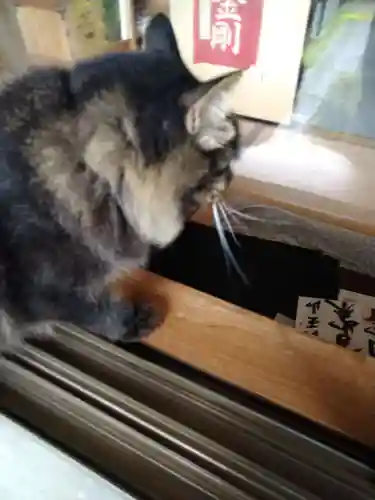 薬王院円如寺の動物