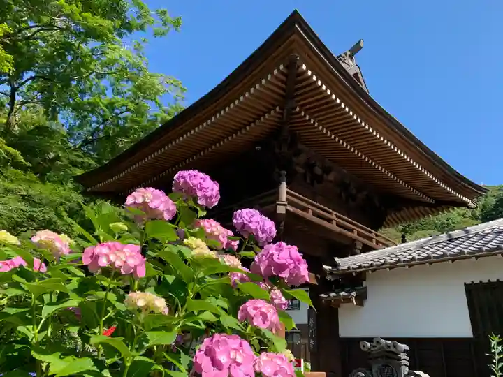 普門寺(切り絵御朱印発祥の寺)のその他建物