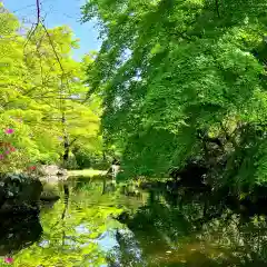 霊犬神社(静岡県)