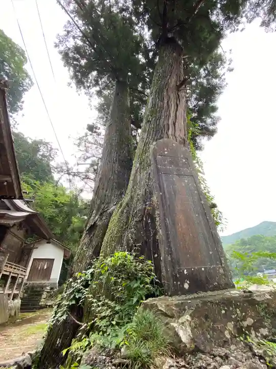 御鋒神社の自然
