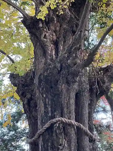 鞆江神社（明地）(愛知県)